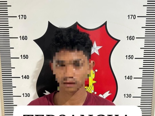 Curi Kamera, Laptop dan Drone di Harbour Bay, Pemuda 19 Tahun Ditangkap Polisi