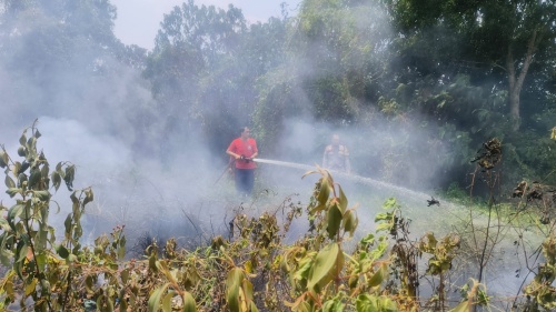 Polisi Cek Lokasi Dugaan Kebakaran Lahan di Setokok
