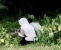 Tengah Malam Pelajar di Natuna Masih Keliaran, Ini Tindakan Camat