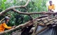 Tujuh Kecamatan di Landa Puting Beliung