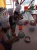 Kembangkan Kreatifitas Anak di Young Chef Academy Batam Kursus Memasak Profesional Luar Negeri 