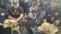 Sukses Membongkar Keberadaan 1 Ton Sabu, Anjing Ini Mencuri Perhatian Banyak Orang