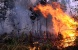 Hingga Saat Ini, Kebakaran Lahan di Riau Telah Mencapai 749 Hektare