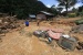 Banjir Bandang Menerjang Banyuwangi, Jawa Timur