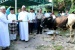 Pemkab Bintan Akan Gelar Shalat Idul Adha di Lapangan Bola Demang Lebar Daun