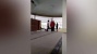 Cari Suaminya, Wanita Ini Mengamuk Sambil Bawa Anjing Ke Masjid