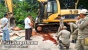 Excavator Yang Menertibkan Kios Liar Sempat Rusak usai Tumbangkan Pohon