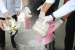 Polisi Rebus 8,1 Kg Sabu Dari Dua Tangkapan