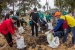 Amsakar Keliling, Ikut Goro hingga Bersihkan Limbah Minyak di Pantai