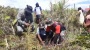 TNI Ajak Masyarakat Lestarikan Lingkungan Tanam Pohon Pinus di Wilayah Perbatasan RI-PNG