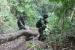 Satgas Pamtas Yonif 131/Brs Melaksanakan Patroli Untuk Mengecek Patok Batas RI-PNG
