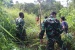 TNI Lakukan Goro Pembukaan Jalan di Hari Pertama Pra TMMD ke-112 Kodim 0316 Batam 
