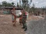 Satgas Pamtas Yonarmed 6/3 Kostrad Rehab Rumah Warga Tidak Mampu di Perbatasan.