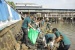 Amsakar: Selamatkan Bumi dari Sampah