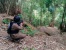 Tingkatkan Kemampuan, Satgas Operasi Amole II Latihan di Gunung Halimun Bogor 