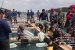 Gelar Bintahwilmar Yonif 10 Marinir/SBY Ajak Masyarakat Pesisir Budidayakan  Ikan Laut