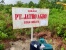 PT Agro Jatro Diduga Serobot Lahan Masyarakat di Pulau Karas