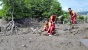 HUT Bhayangkara ke-78, Polsek Sagulung Tanam Bibit Pohon Mangrove
