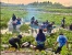 BP Batam Sikat Gulma di Waduk Duriangkang